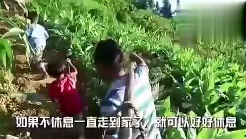 贵阳娱乐吃瓜事件视频最新,吃瓜群众视角下的最新视频揭秘